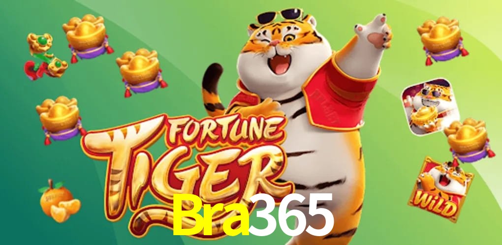 Experiência VIP Bra365